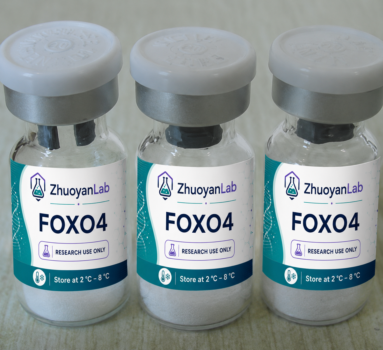 FOXO4
